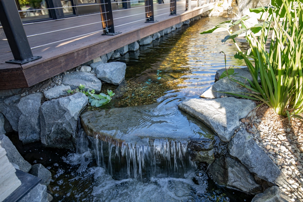 Castaway Restaurant Burbank Koi Pond by California Waterscapes - Photo 10