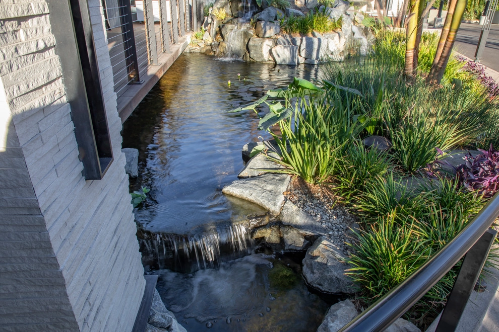 Castaway Restaurant Burbank Koi Pond by California Waterscapes - Photo 2
