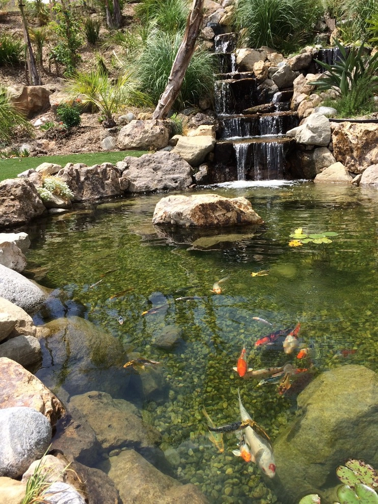 Cesar Millan's Desert Oasis by California Waterscapes - Photo 9