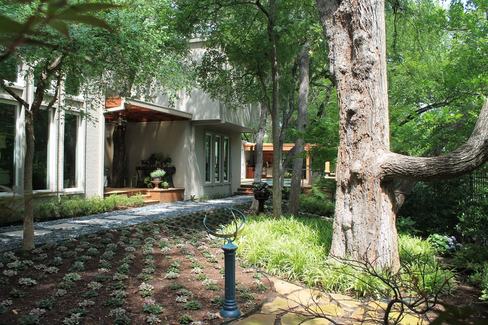 Lonestar Landscape - Photo 7