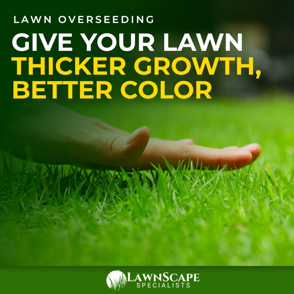 Lawnscape Specialists - Photo 2
