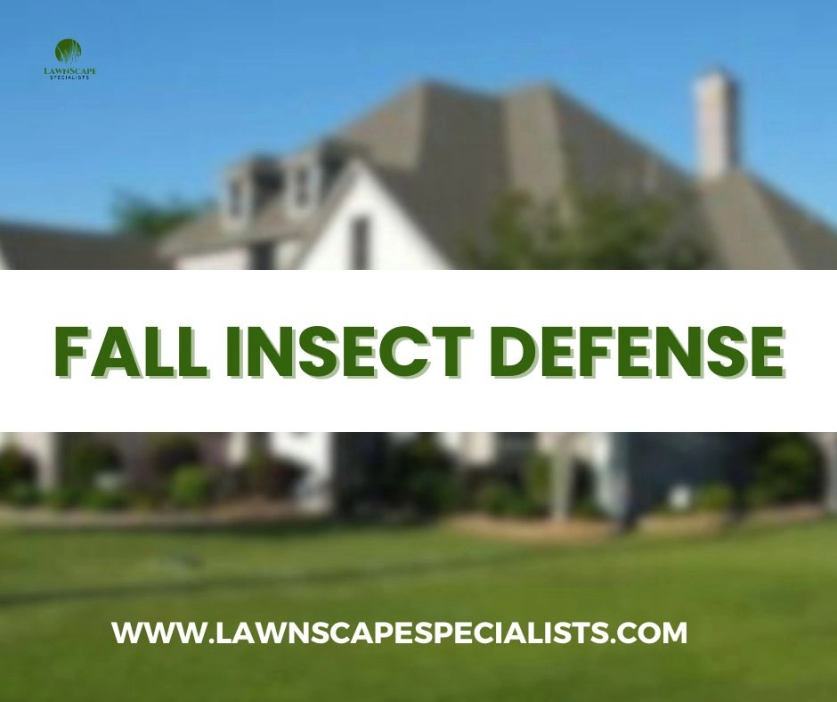 Pest Control by Lawnscape Specialists - Photo 3