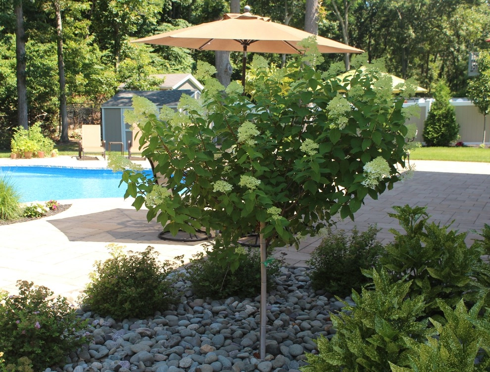 Port Jefferson Station, New York by Long Island Landscape Designs Inc - Photo 15