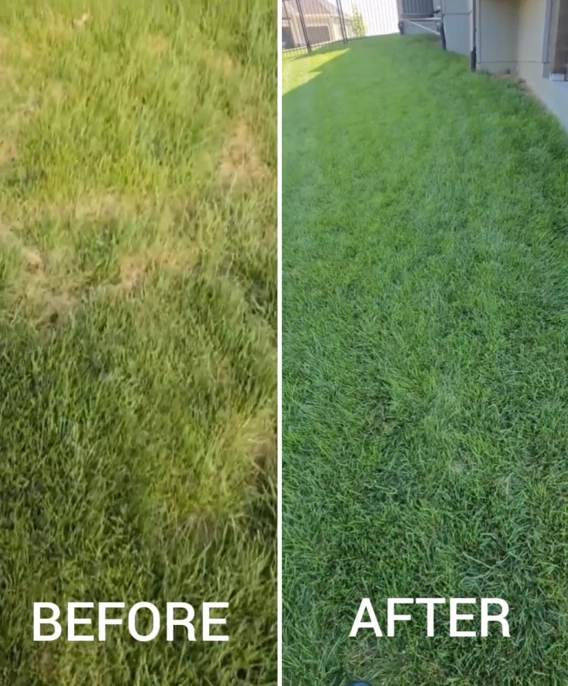 Lawn Overseeding & Aeration by Lawnscape Specialists - Photo 4