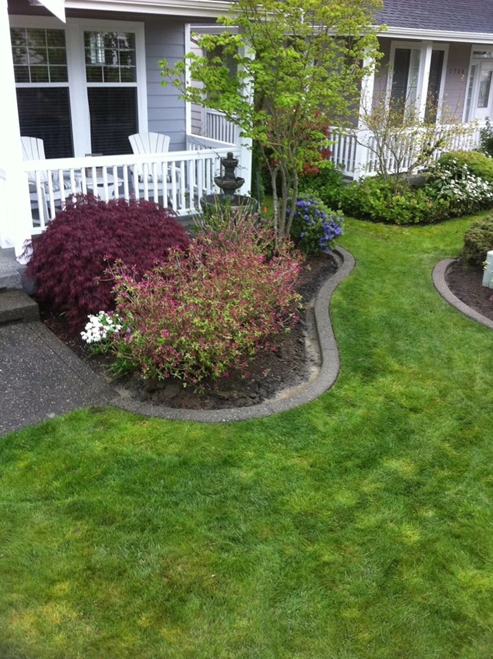 Lonnie's Curb-n-lawns LLC - Photo 6