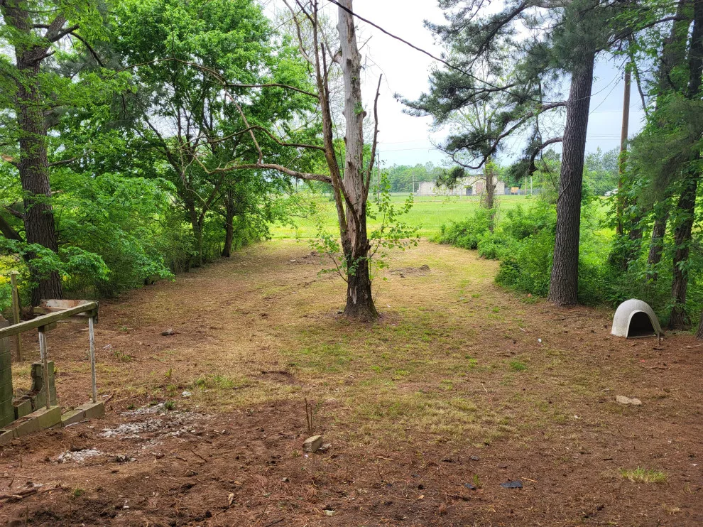 Worst Case Scenario LLC - Photo 3