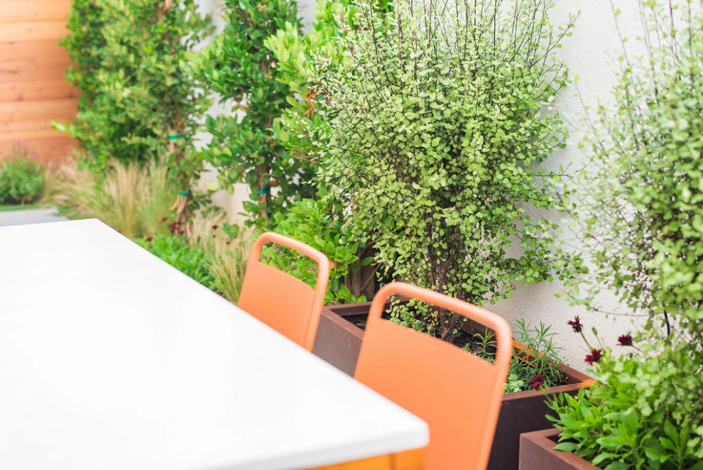 Lush Gardens Inc - Photo 2