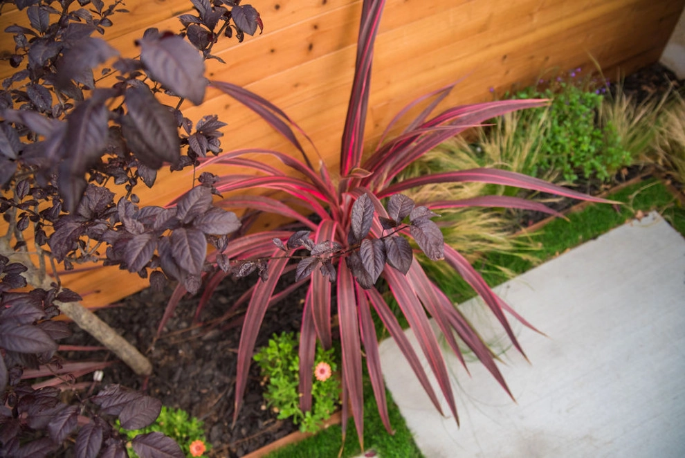 Complete Landscape Design & Installation In Los Angeles, CA by Lush Gardens Inc - Photo 3