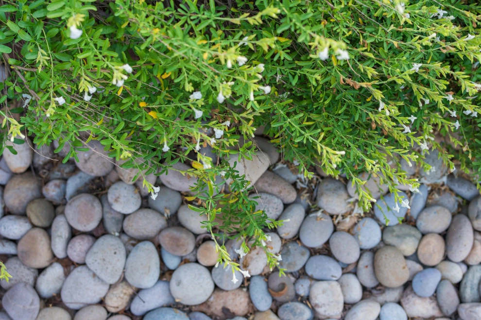 Lush Gardens Inc - Photo 7