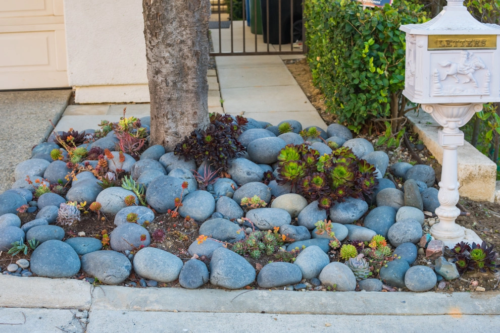 Complete Landscape Design & Installation in Pacific Palisades, CA by Lush Gardens Inc - Photo 7