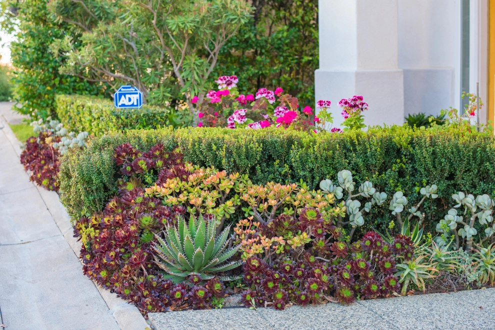 Complete Landscape Design & Installation in Pacific Palisades, CA by Lush Gardens Inc - Photo 6