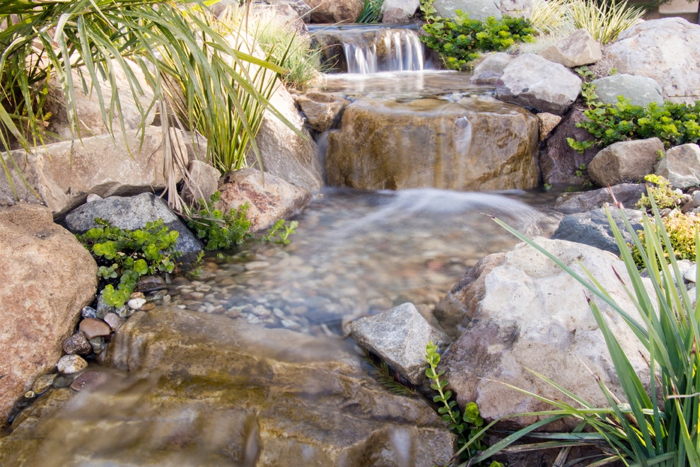 Koi Fish Pond With a View! by California Waterscapes - Photo 2