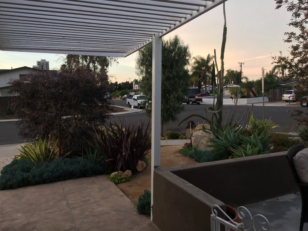 Costa Mesa Drought Tolerant by Lydia Monroe: City Green OC - Photo 17