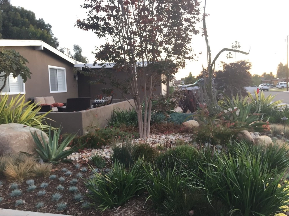 Costa Mesa Drought Tolerant by Lydia Monroe: City Green OC - Photo 10