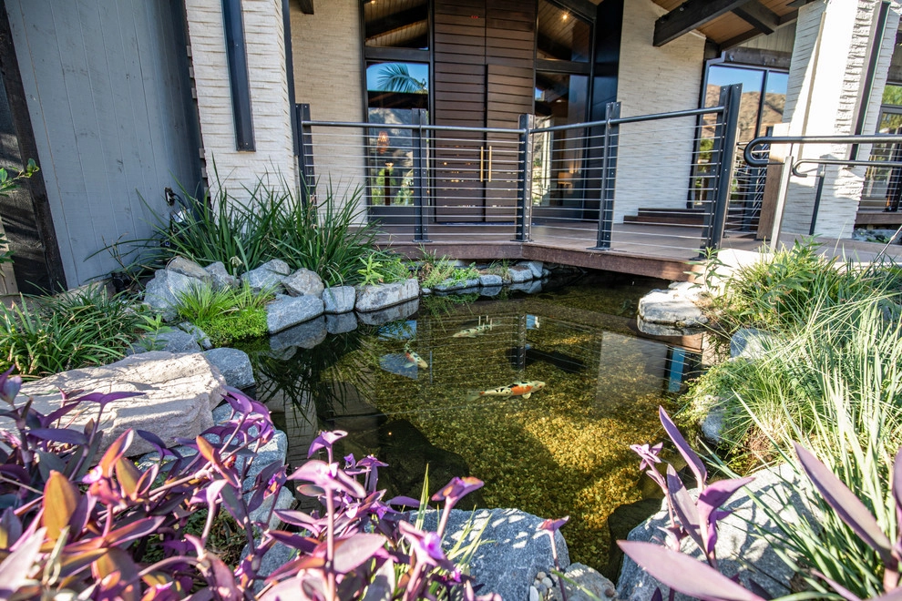Castaway Restaurant Burbank Koi Pond by California Waterscapes - Photo 7