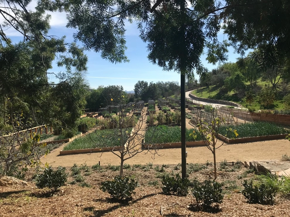Westlake Estate by Lydia Monroe: City Green OC - Photo 7