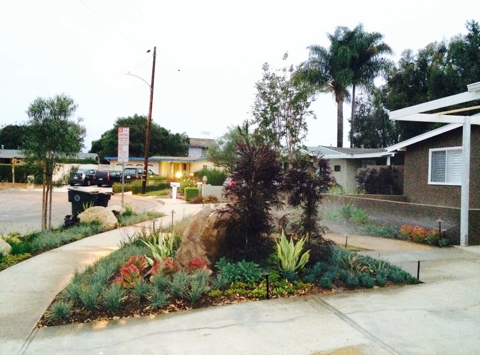 Costa Mesa Drought Tolerant by Lydia Monroe: City Green OC - Photo 9