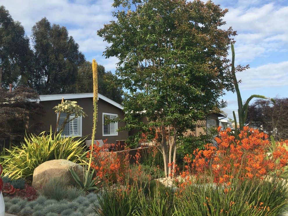 Costa Mesa Drought Tolerant by Lydia Monroe: City Green OC - Photo 14