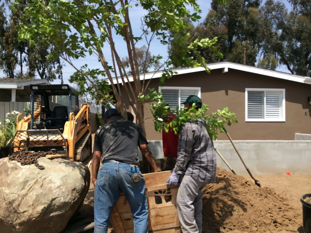 Costa Mesa Drought Tolerant by Lydia Monroe: City Green OC - Photo 16
