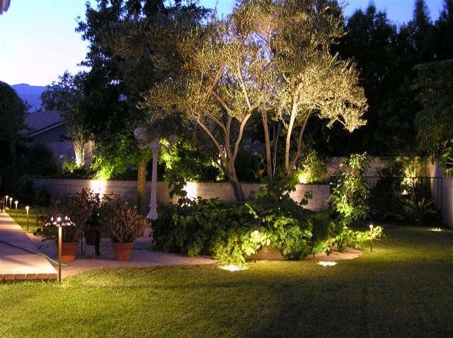 LED Landscape Lighting by Lytle Landscape Construction - Photo 2