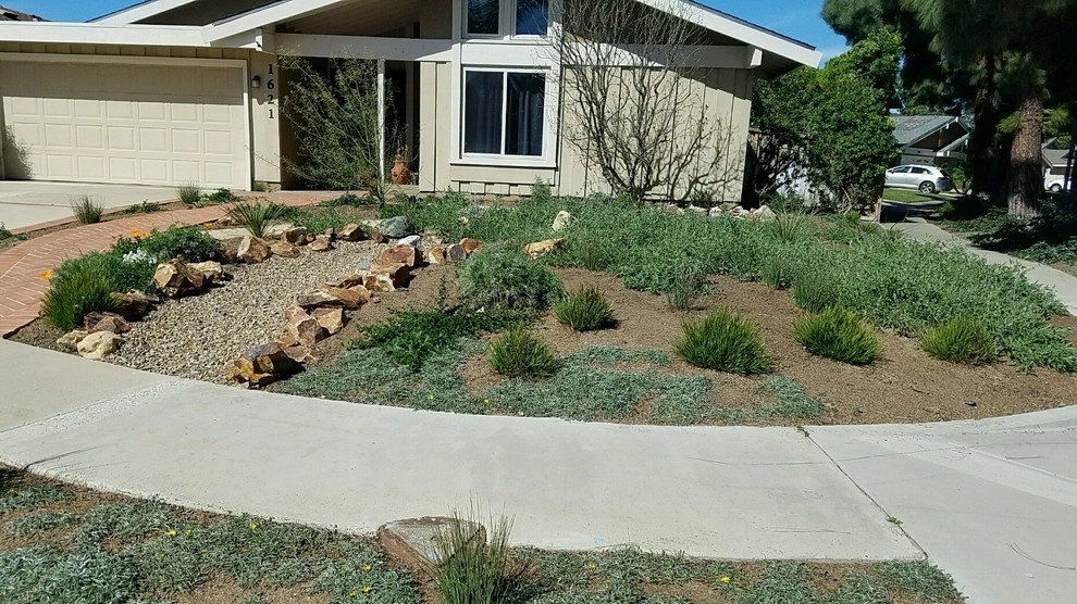 Softcapes by Lytle Landscape Construction - Photo 6