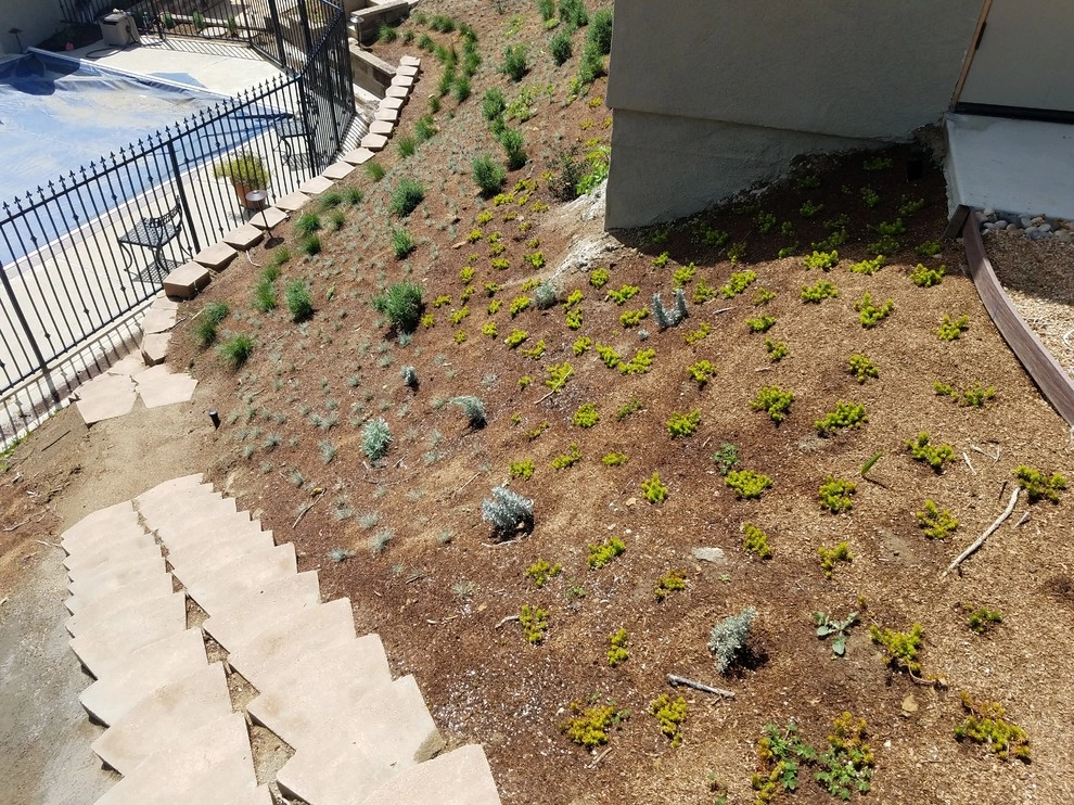 Lytle Landscape Construction - Photo 4
