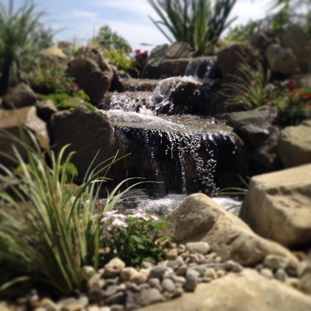 William Shatner's Home Oasis by California Waterscapes - Photo 8