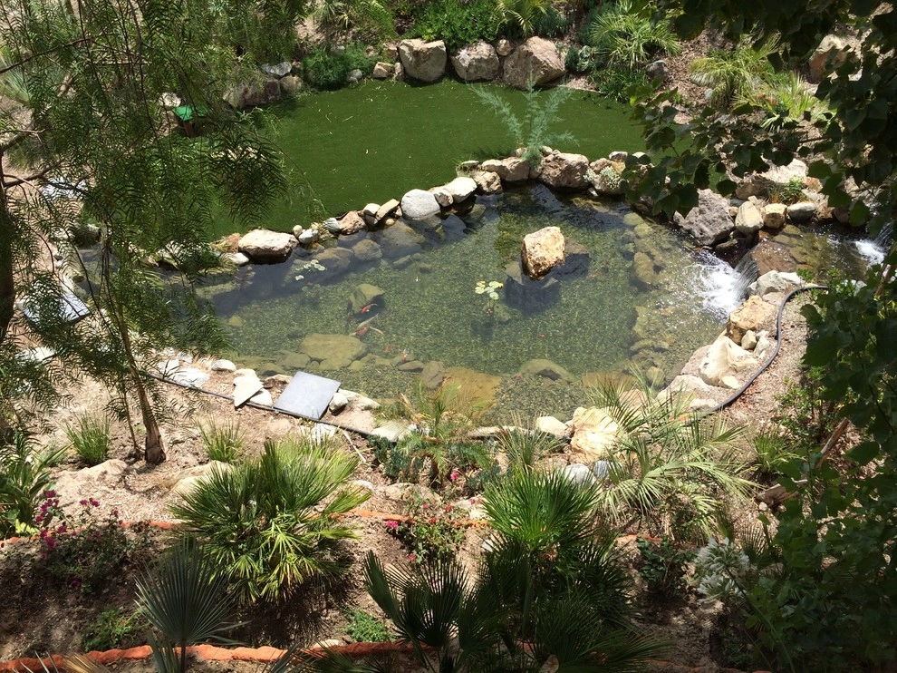 Cesar Millan's Desert Oasis by California Waterscapes - Photo 11