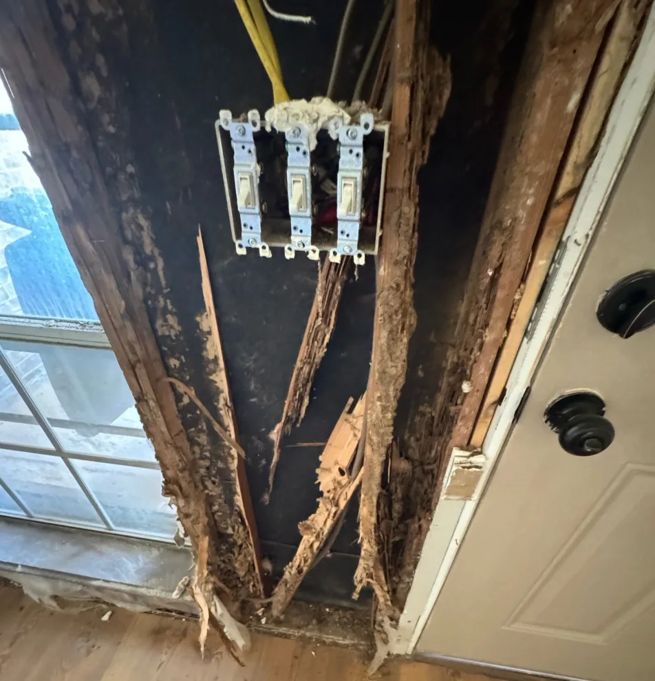 Eliminating termite damage, fixing poor repairs, and ensuring a professional rebuild. by BD Homestead LLC - Photo 5