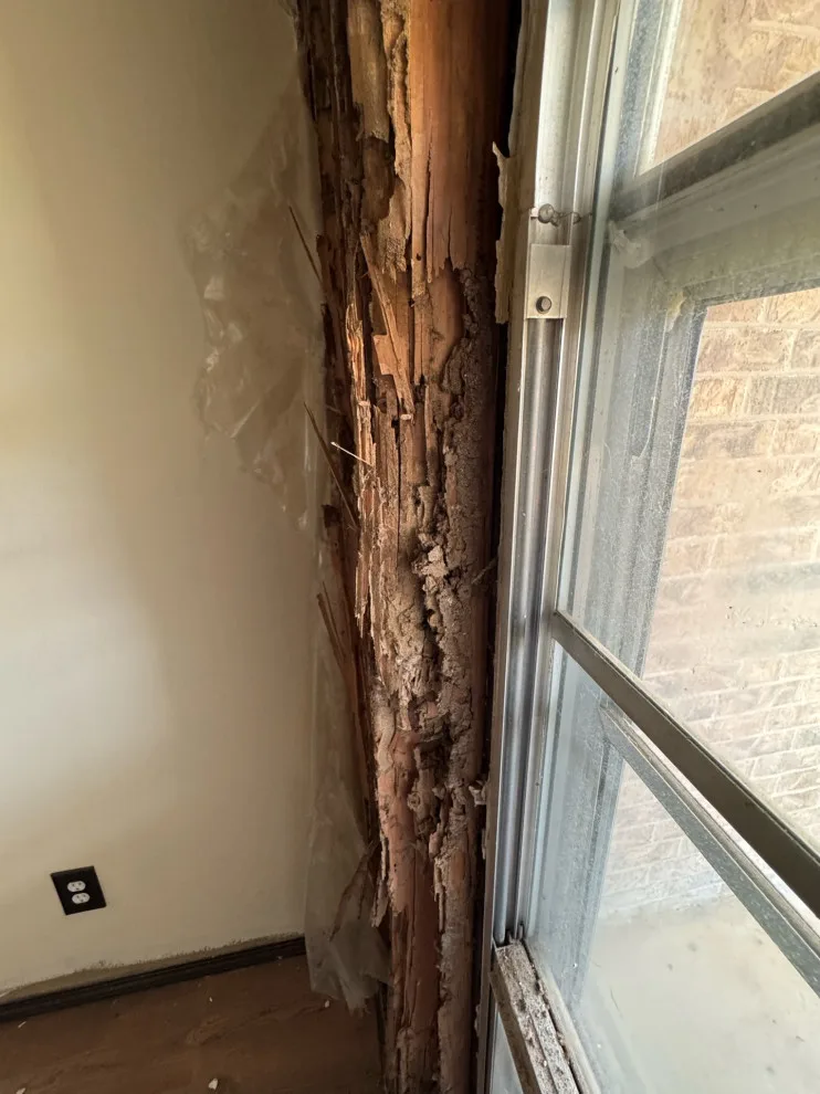 BD Homestead LLC - Photo 9