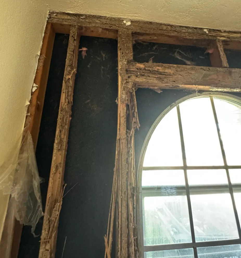 Eliminating termite damage, fixing poor repairs, and ensuring a professional rebuild. by BD Homestead LLC - Photo 8
