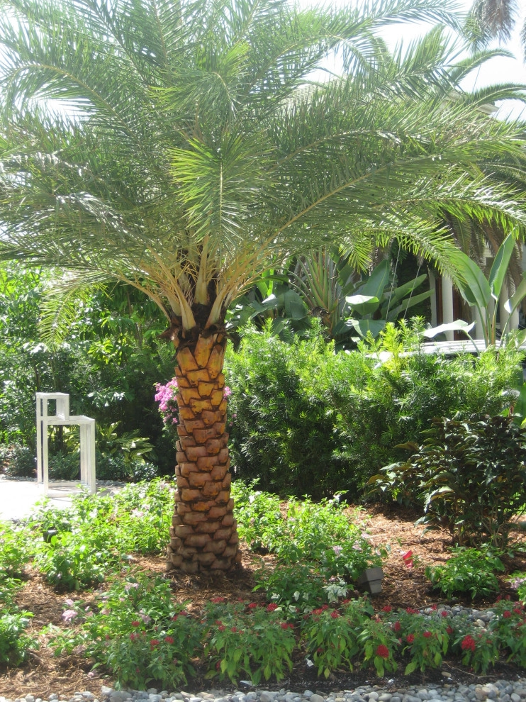 Backyard Oasis by Magnolia Green LLC - Photo 12