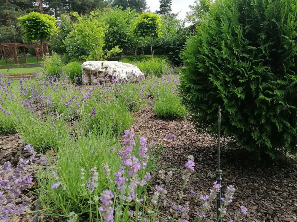 The Pathway of Tranquility by IDL Construction - Photo 13