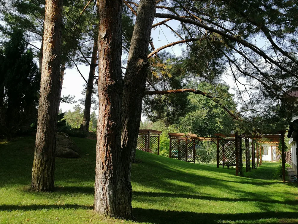 The Pathway of Tranquility by IDL Construction - Photo 44