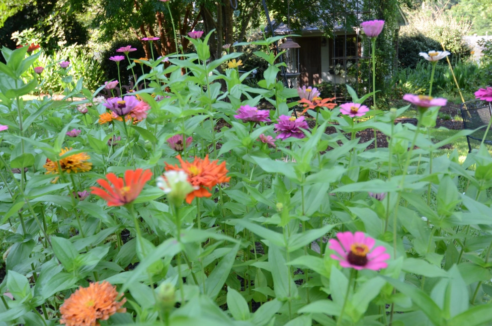 Backyard to SMILE about by Magnolia Green LLC - Photo 4