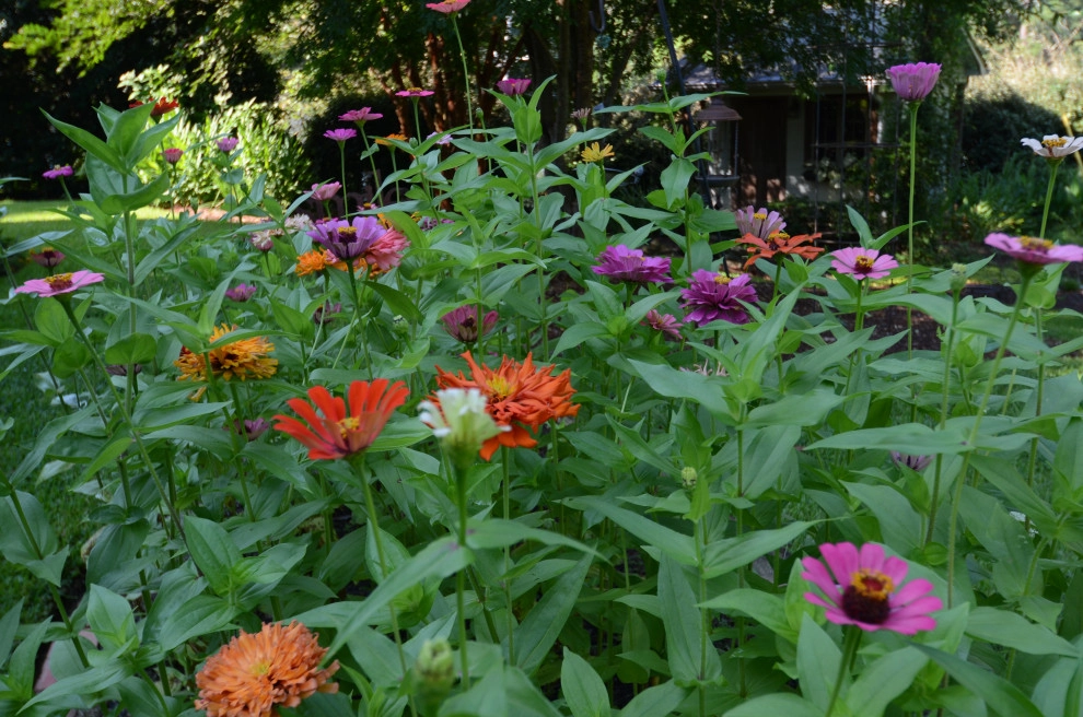 Backyard to SMILE about by Magnolia Green LLC - Photo 30