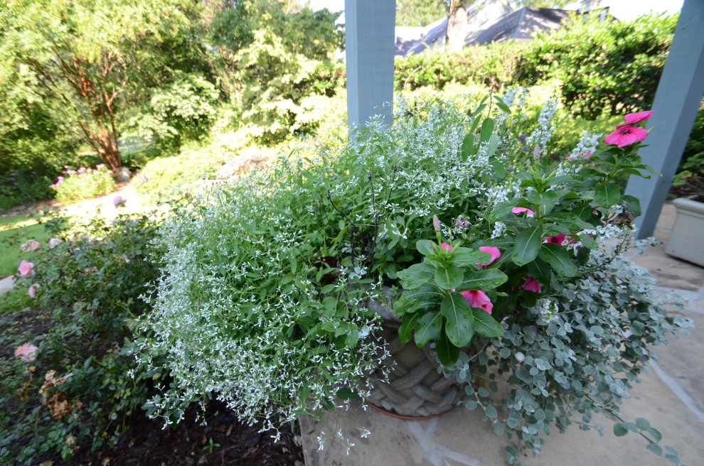 Backyard to SMILE about by Magnolia Green LLC - Photo 61