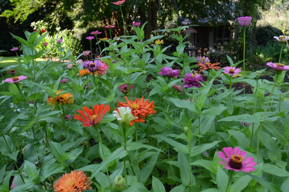 Backyard to SMILE about by Magnolia Green LLC - Photo 59
