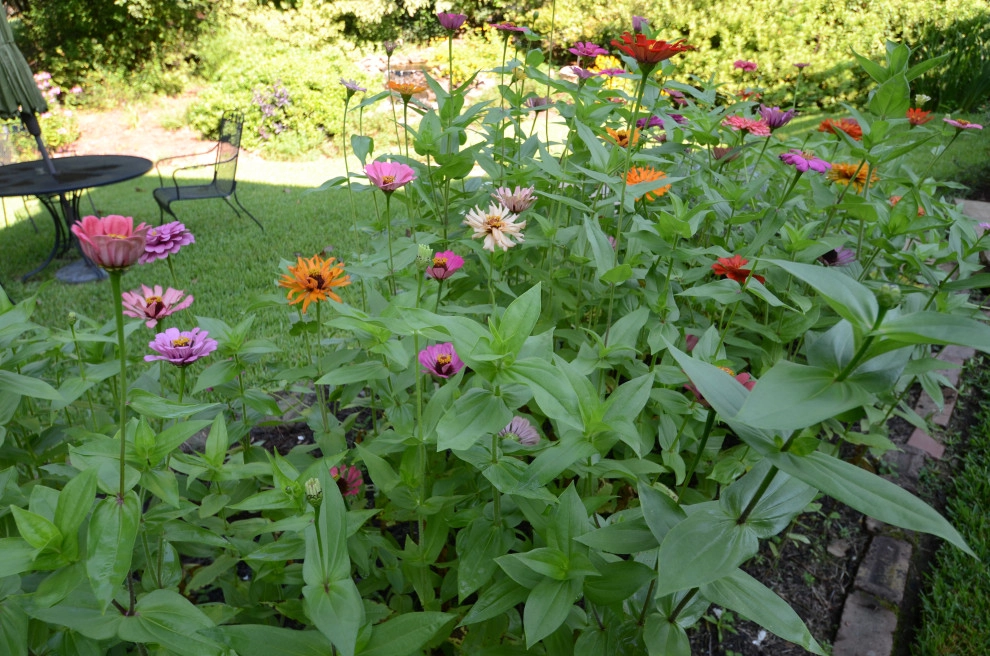 Backyard to SMILE about by Magnolia Green LLC - Photo 55