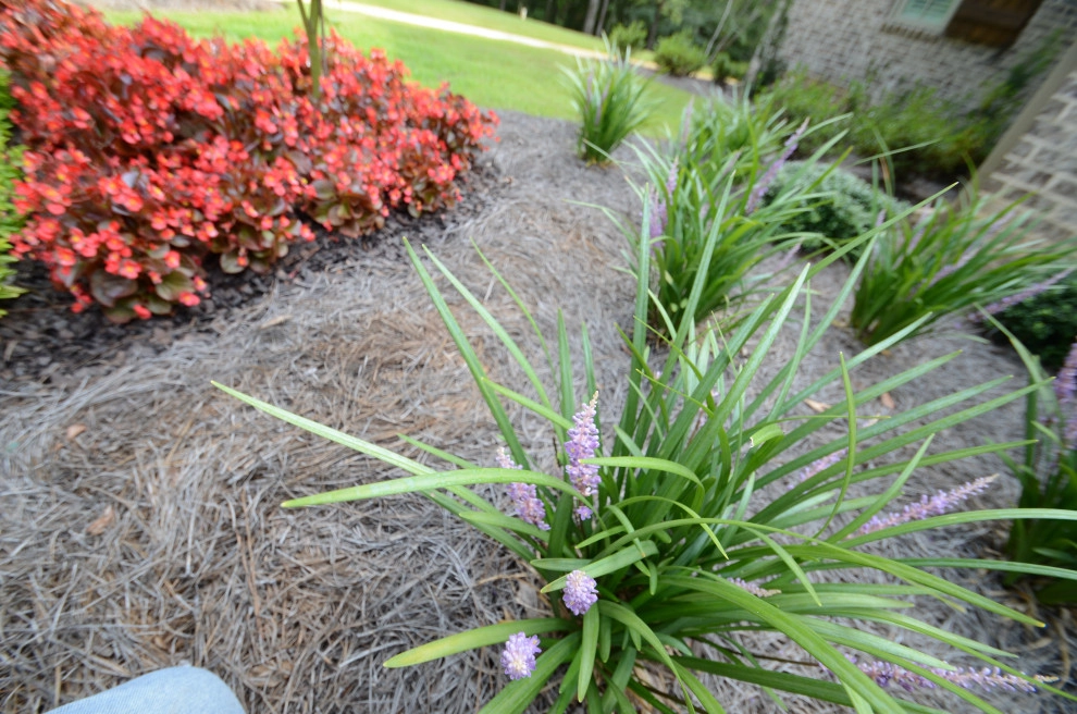 Complete Yard Makeover by Magnolia Green LLC - Photo 27