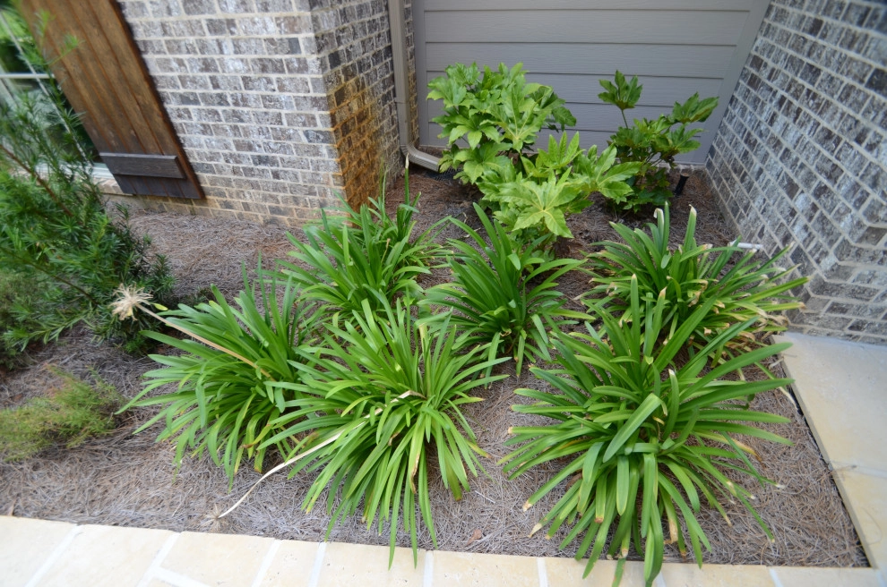 Complete Yard Makeover by Magnolia Green LLC - Photo 4