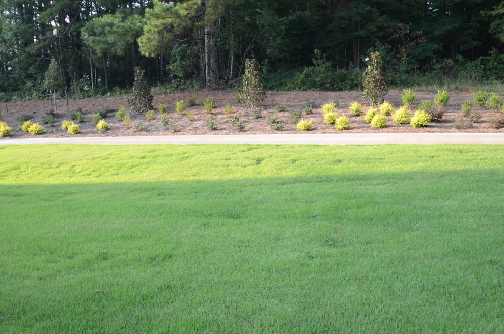 Curb Appeal by Magnolia Green LLC - Photo 3