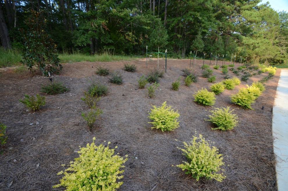 Curb Appeal by Magnolia Green LLC - Photo 10