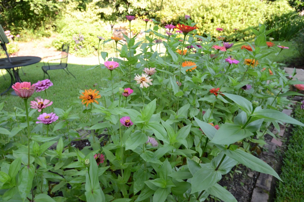 Backyard to SMILE about by Magnolia Green LLC - Photo 53