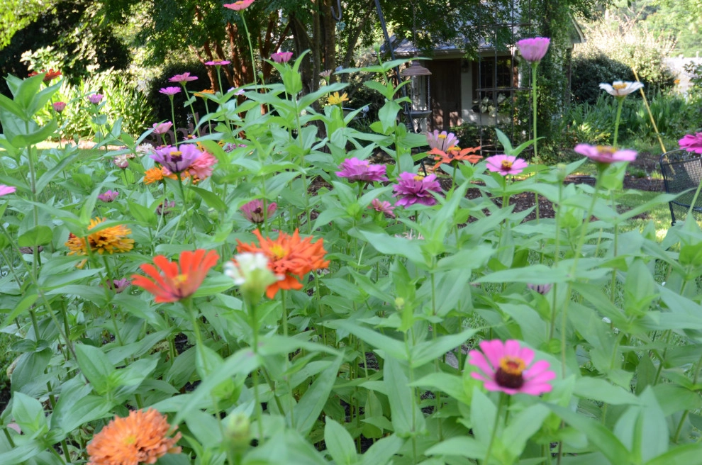 Backyard to SMILE about by Magnolia Green LLC - Photo 3