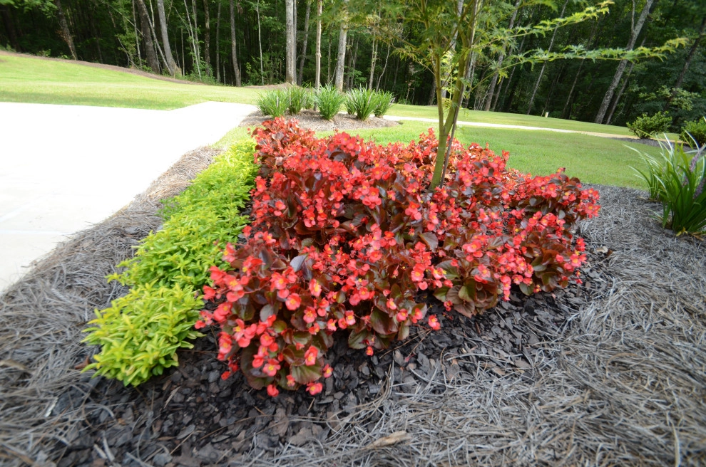 Complete Yard Makeover by Magnolia Green LLC - Photo 12