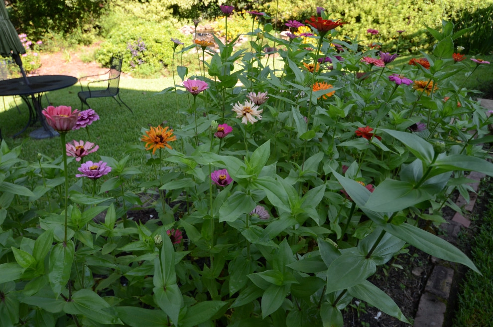 Backyard to SMILE about by Magnolia Green LLC - Photo 45