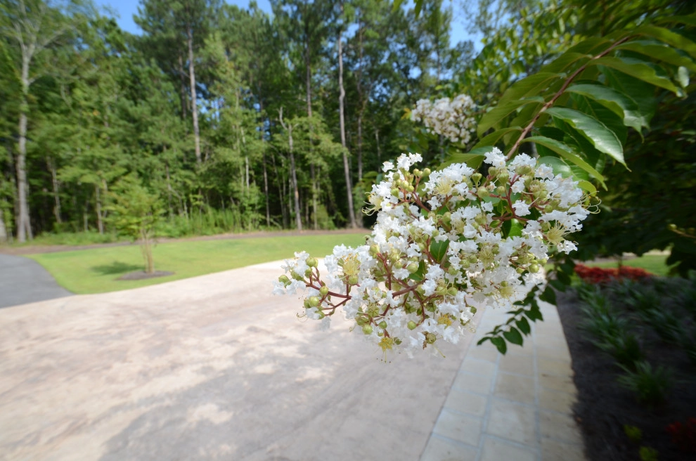 Complete Yard Makeover by Magnolia Green LLC - Photo 3