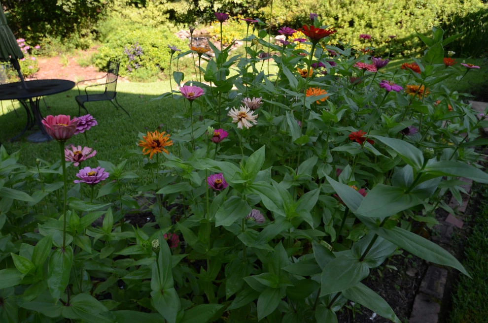 Backyard to SMILE about by Magnolia Green LLC - Photo 48