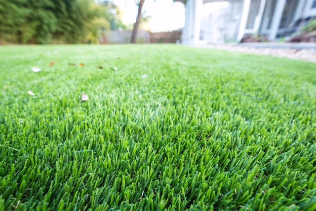 Landscapes by Magnolia Turf Co. - Photo 18